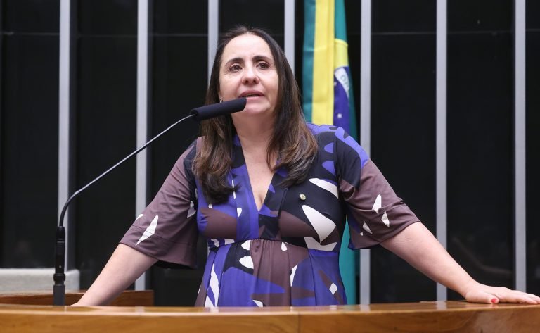 Deputada Adriana Ventura (NOVO SP) fala no Plenário da Câmara dos Deputados