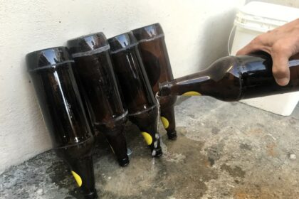 Eliminação de criadouros para mosquitos é a principal estratégia para prevenir a dengue