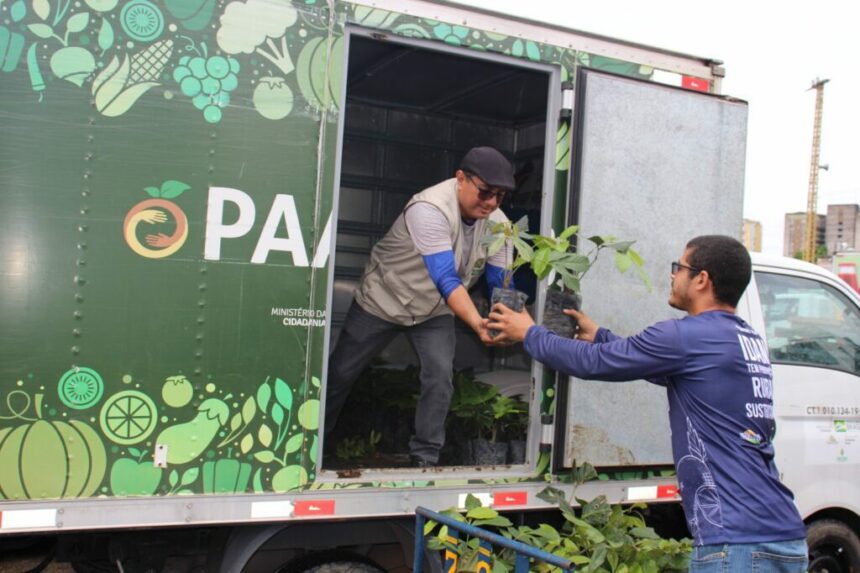 Idam recebe mudas que serão cultivadas em Unidade Demonstrativa (UD) do Guaraná