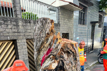 Prefeitura de Manaus realiza manejo preventivo em árvores