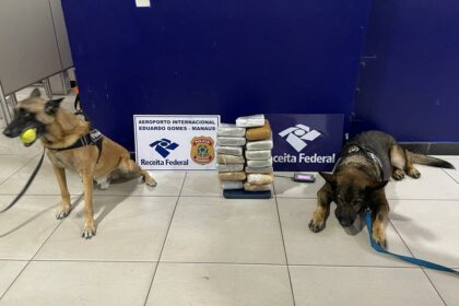 Em 2023, denúncias enviadas ao 181 resultaram na apreensão de mais de 3 toneladas de drogas e na prisão de 74 pessoas