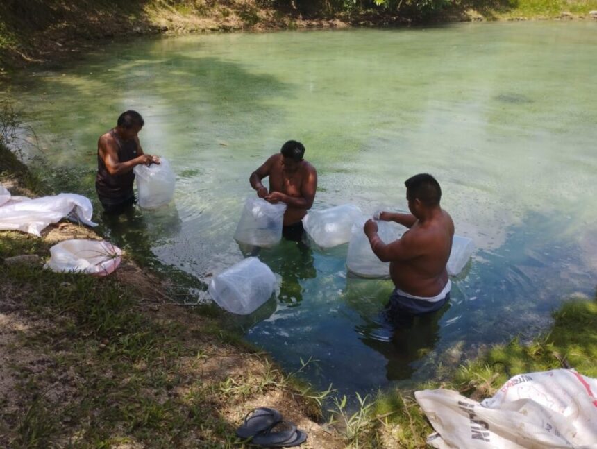 Edital do PAA Indígena no Amazonas prevê inscrições até o dia 20 de janeiro