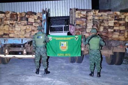 Polícia Militar do Amazonas apreende 32 metros cúbicos de madeira serrada em Manacapuru