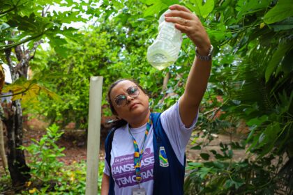 Nova edição do Informe Epidemiológico das Arboviroses