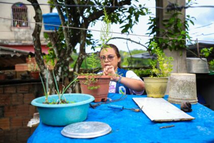 Prefeitura pede apoio da população no combate à dengue