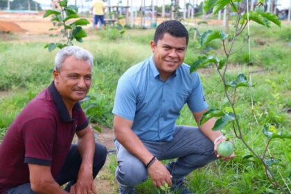 Sistema de irrigação contribui para a produção de maracujá e mamão em Iranduba