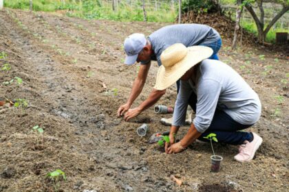 Cosama promove ações de sustentabilidade no Amazonas com doação de copos plásticos para reutilização no plantio de mudas