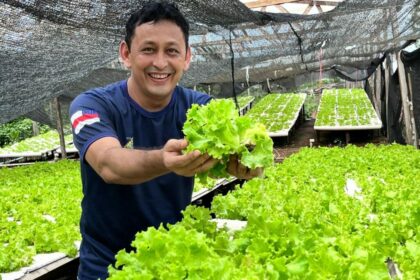 Idam reforça benefícios da hidroponia para a horticultura amazonense