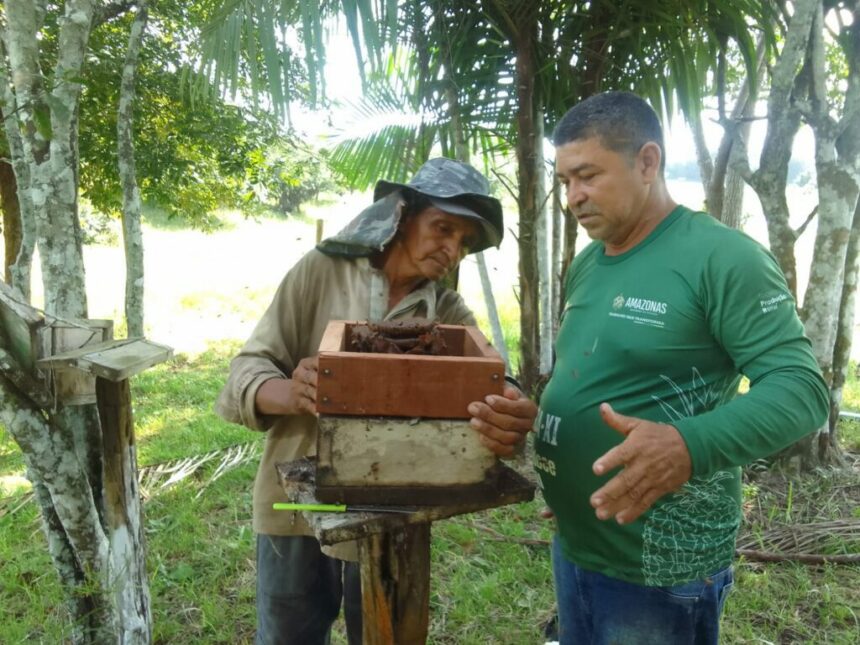 Idam oferece assistência técnica, capacitação e entrega de documentos aos meliponicultores de Silves