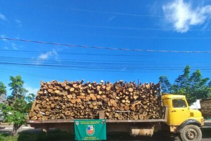 Madeira ilegal é apreendida pelo Batalhão Ambiental da Polícia Militar do Amazonas