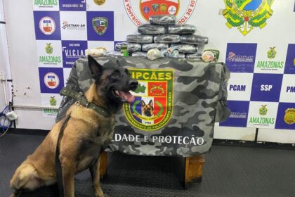 Base Arpão 1: Mulher é presa com droga avaliada em R$ 750 mil