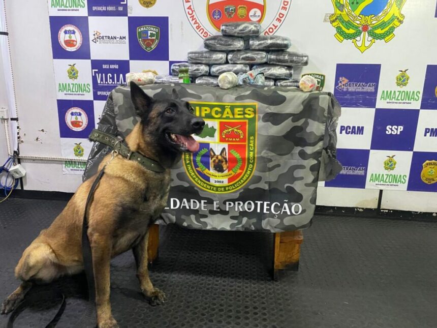 Base Arpão 1: Mulher é presa com droga avaliada em R$ 750 mil