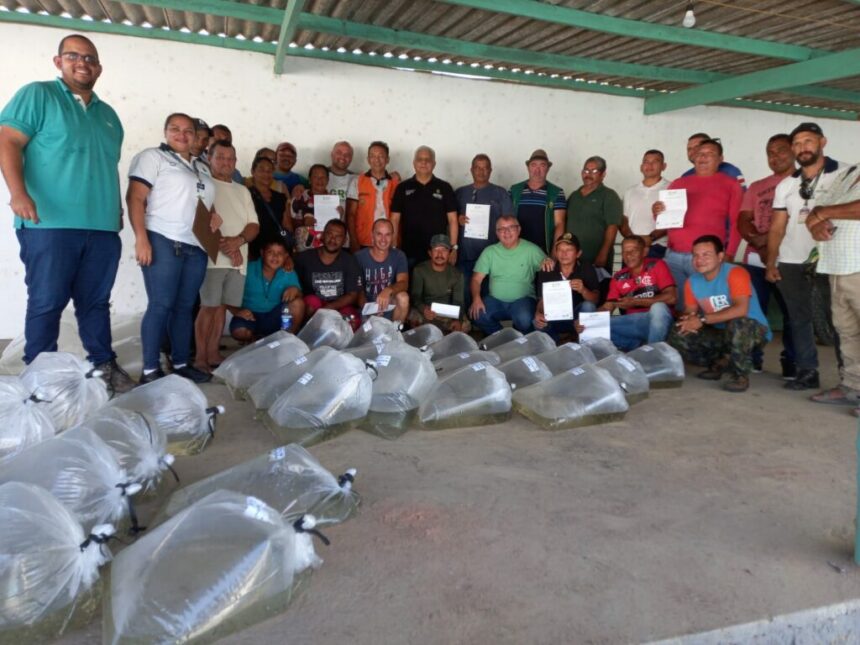 Sepror entrega 90 mil alevinos em Rio Preto da Eva e chega a 379 mil alevinos entregues em todo o estado