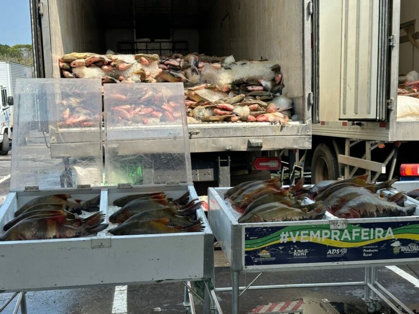 Com investimento de R$ 5,5 milhões, Governo do Amazonas realiza doação de 369 toneladas de pescado em ação solidária