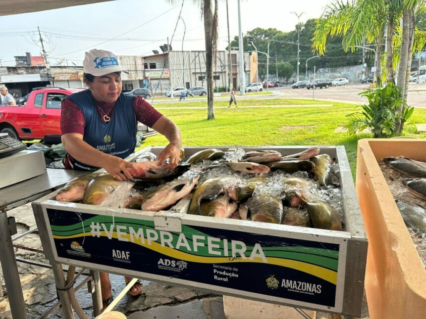 Feirão do Pescado 2024 comercializou 117 toneladas de peixes