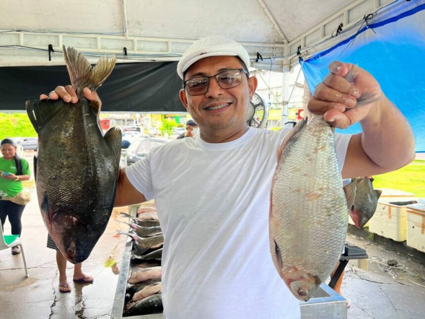 Feirão do Pescado 2024: Mais de 100 toneladas de peixes vão estar à venda em Manaus nos dias 27, 28 e 29 de março