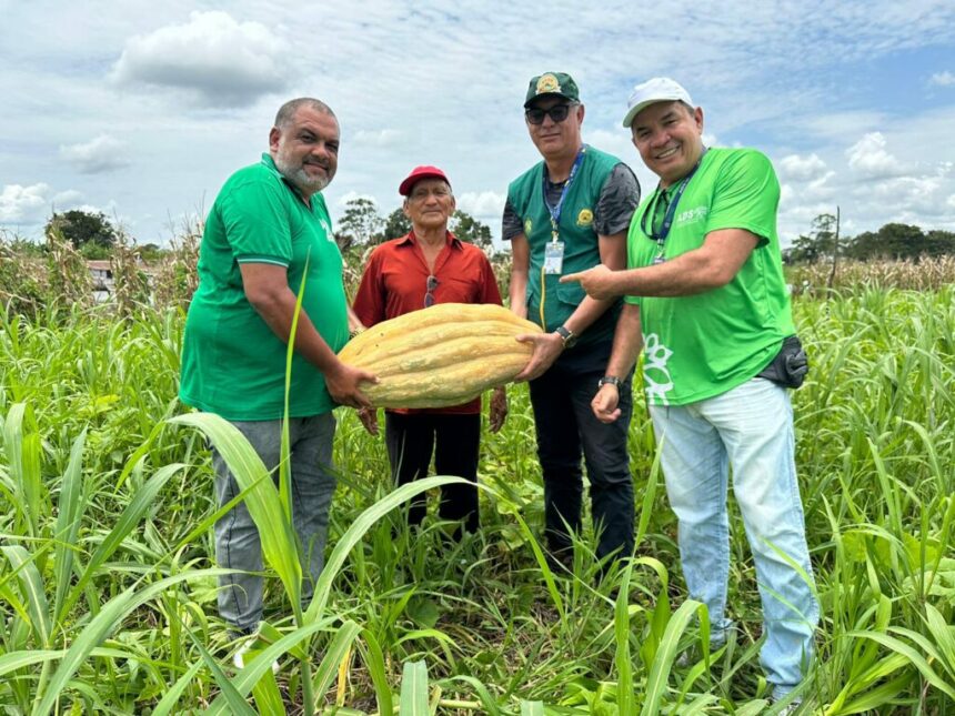 Governo do Amazonas faz avaliações de capacidade produtiva de agricultores para negociação por meio do Balcão de Agronegócios