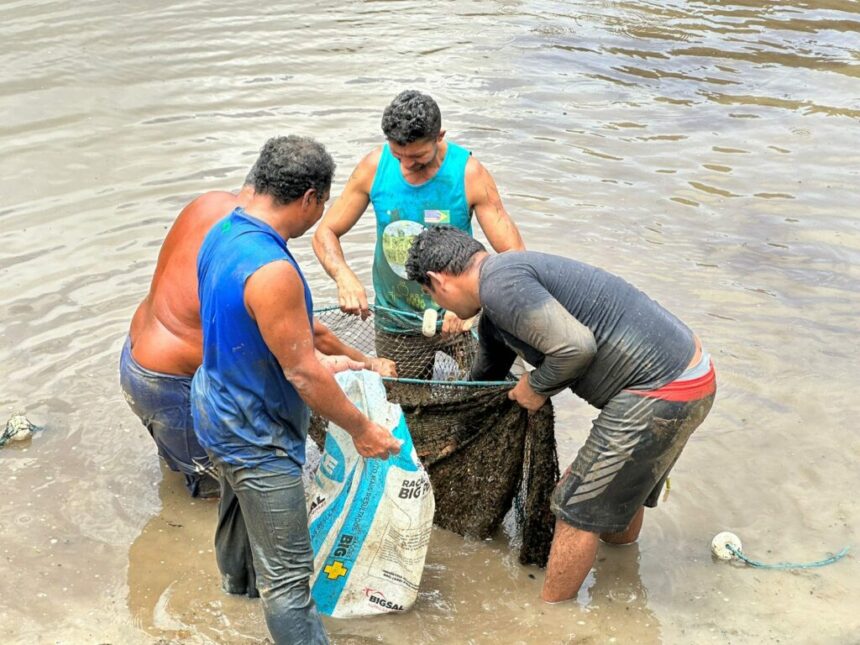 Vendas no Feirão do Pescado devem movimentar cerca de R$ 3 milhões