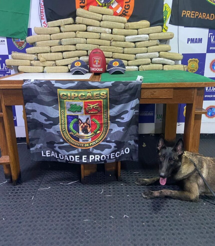 Base Arpão I: policiais apreendem 50 quilos de skunk durante abordagem a embarcação em Coari
