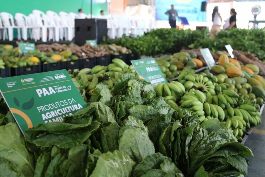 Comércio e agronegócio de Rio Preto da Eva recebem mais de R$ 1,3 milhão em investimentos do Governo do Estado