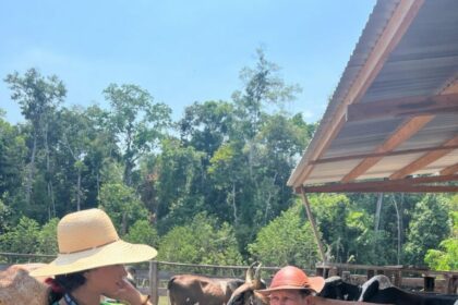 Idam celebra 28 anos com assistência a quase 50 mil produtores rurais