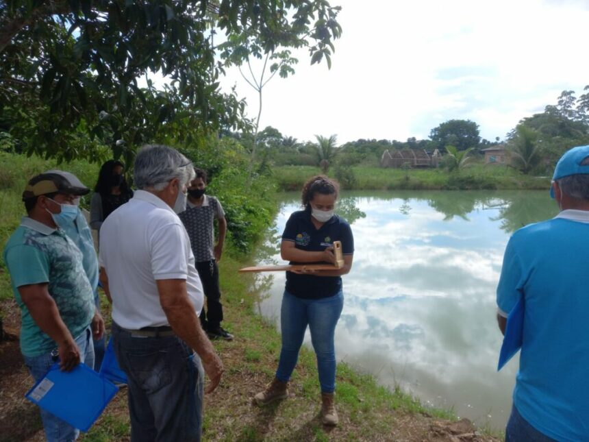 Dia Nacional da Aquicultura: Idam destaca importância da atividade para o Amazonas 