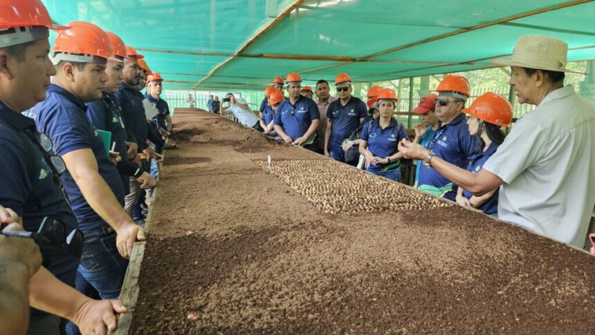 Idam realiza intercâmbio de conhecimento sobre boas práticas de manejo da castanha-do-Brasil