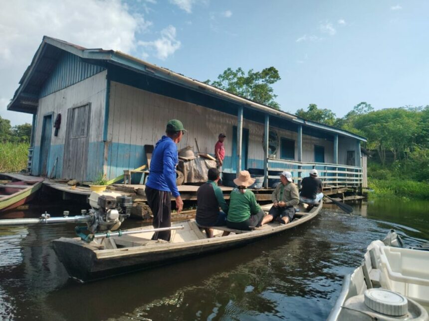 Ipaam expede a primeira autorização do país para a pesca manejada de larvas e alevinos