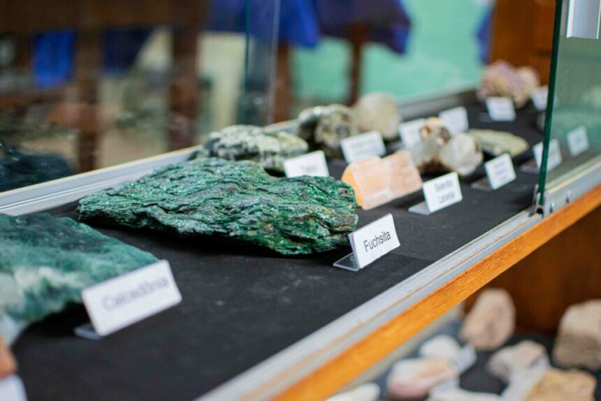 Museu de Solos da Amazônia é criado com apoio do Governo do Estado, em Itacoatiara