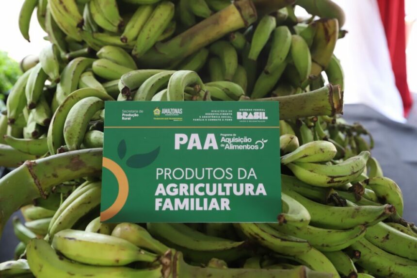 Programa de Aquisição de Alimentos arrecadou mais de 52 toneladas de alimentos orgânicos