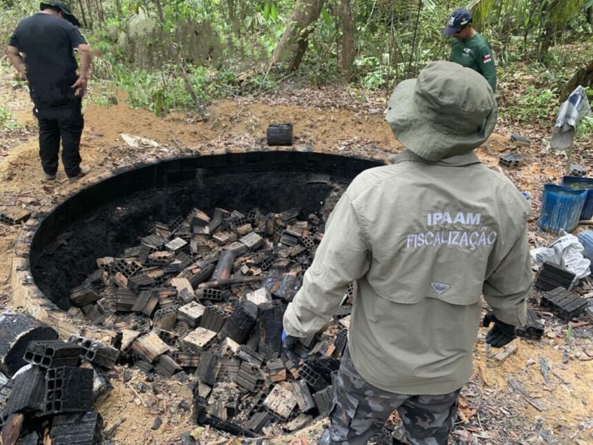 Ipaam apreende madeira e destrói fornos de fabricação de carvão ilegal na Região Metropolitana de Manaus