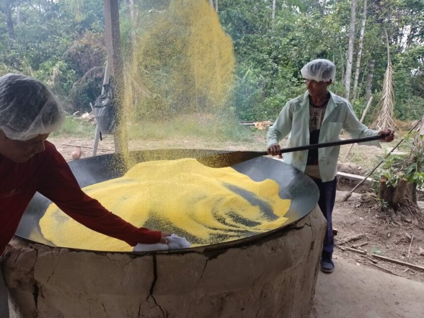 Farinha de Uarini é declarada Patrimônio Cultural do Amazonas e Idam destaca título
