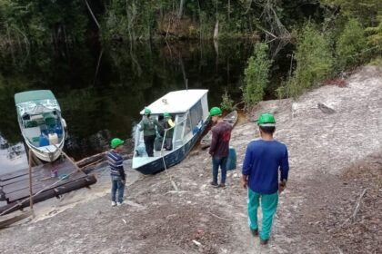 Idam e Sema iniciam tratativas para elaboração de plano de manejo florestal em Beruri
