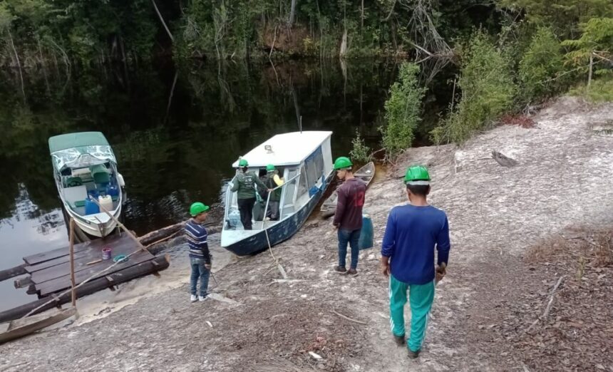 Idam e Sema iniciam tratativas para elaboração de plano de manejo florestal em Beruri