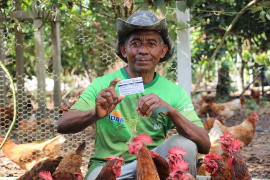 Em março, emissão e renovação do Cartão do Produtor Primário (CPP) crescem 17,5% no Amazonas