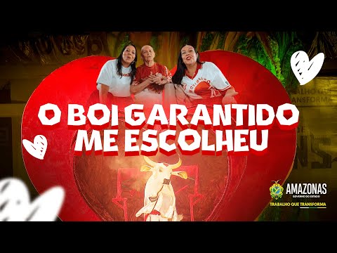 Parintins 2024: É o boi que te escolhe? Torcedores do Garantido explicam