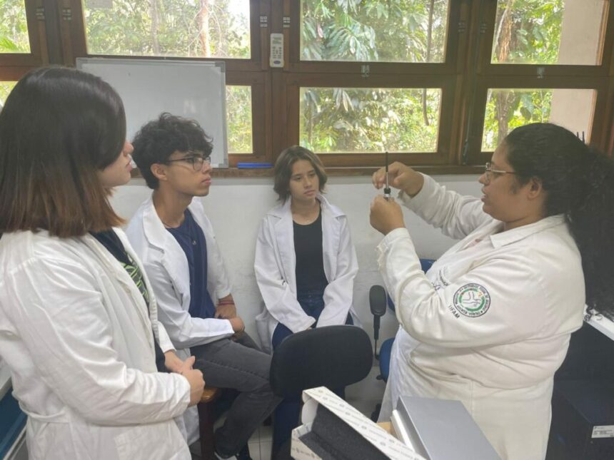 Com apoio do Governo do Amazonas, estudantes elaboram sabonete antimicrobiano à base de pimenta-de-macaco