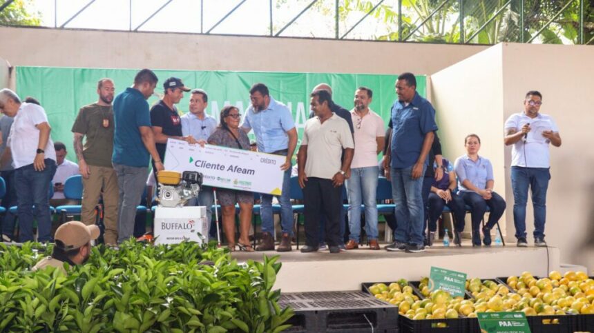 Setor primário fecha abril em alta com crédito rural e regularização de pequenos produtores