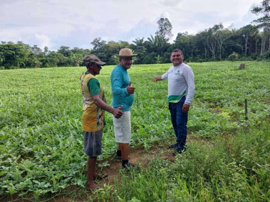 Agricultores recebem orientações do Idam para elevar produção de melancia em Borba