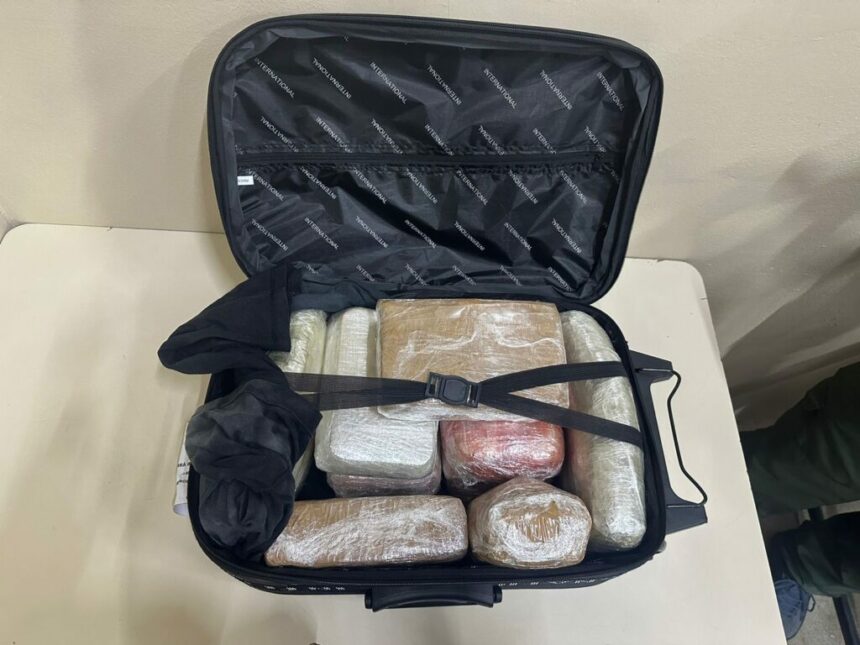 Em São Gabriel da Cachoeira, PC-AM apreende mala com drogas em aeroporto