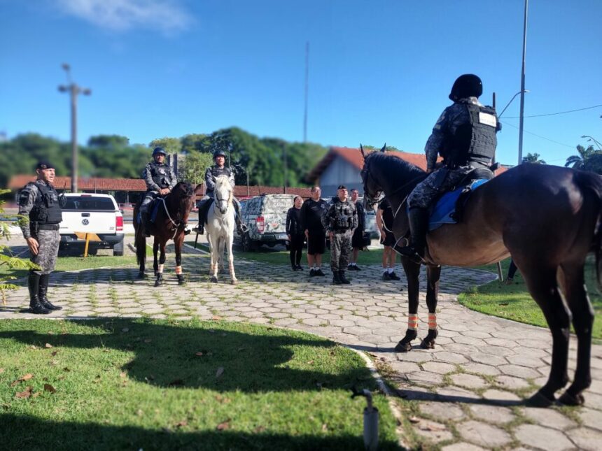 Dia da Cavalaria: Policiamento montado da PMAM traz visibilidade e imponência em ações de segurança pública