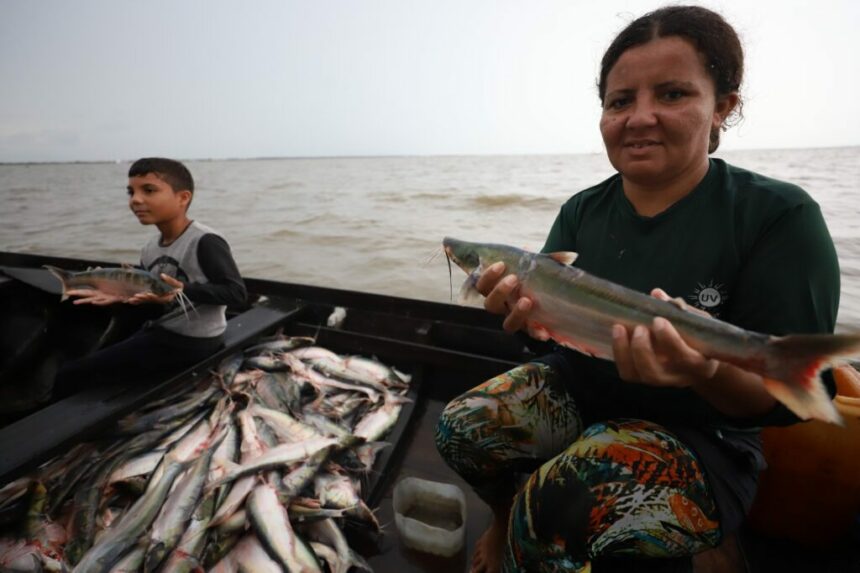 Sepror destaca ações para a conservação da Bacia Amazônica durante a abertura da Semana Águas