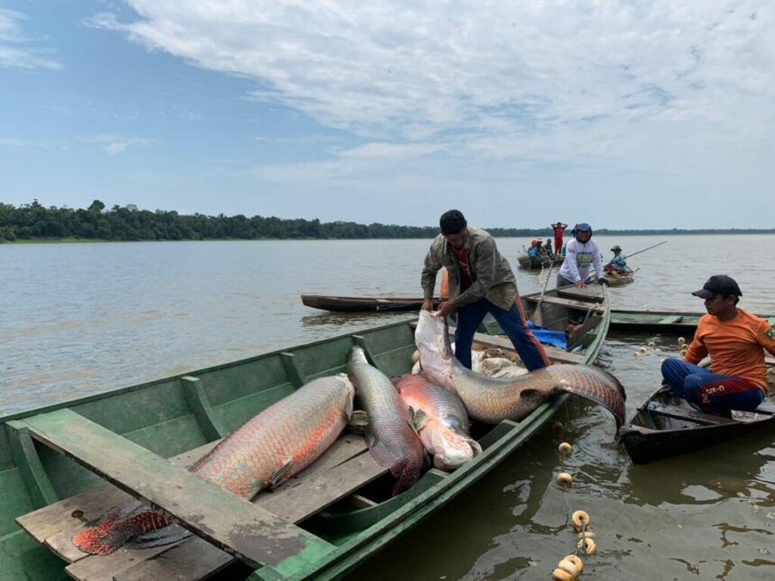 Município de Juruá ganha novo acordo de pesca com benefício para mais de 450 pescadores