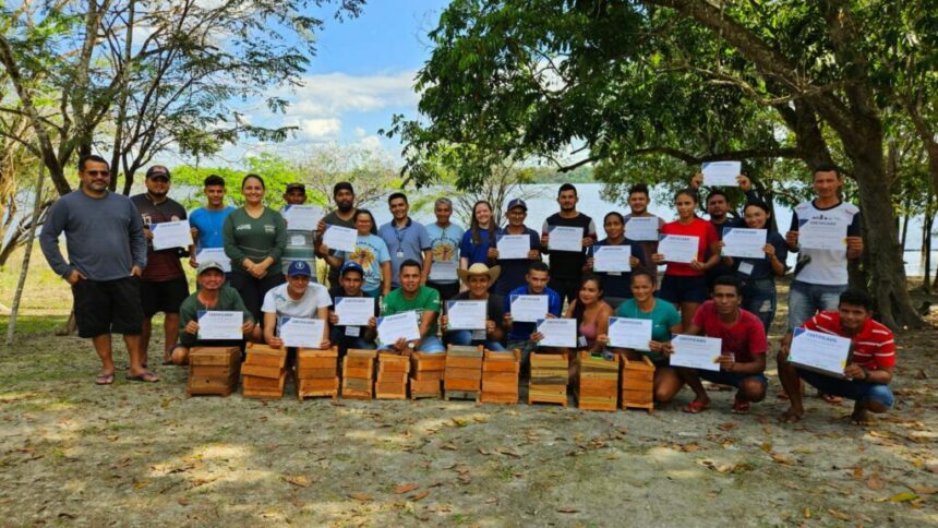 Intercâmbio de meliponicultura impulsiona produção de mel de abelhas sem ferrão nas UCs do Amazonas