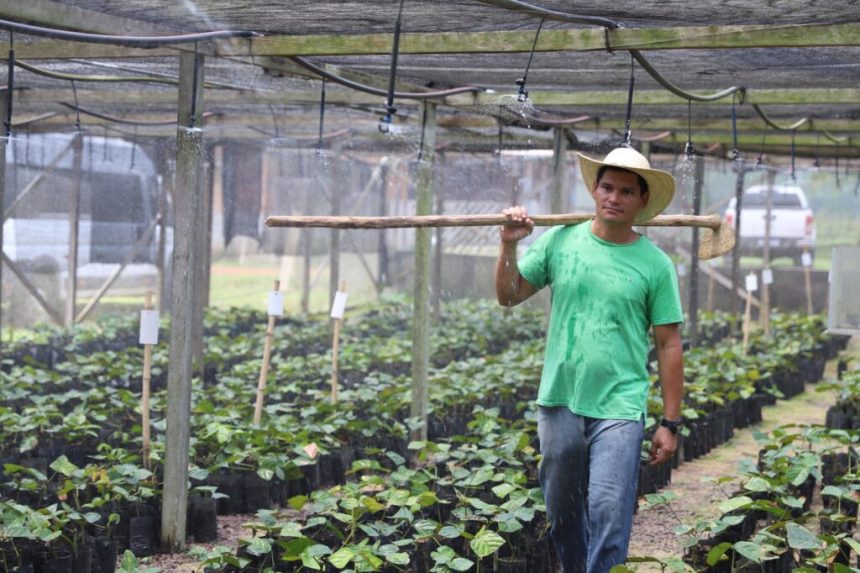 Governo do Amazonas anuncia criação do Programa Estadual de Incentivo à Irrigação de Baixo Custo para apoiar produtores afetados pela estiagem
