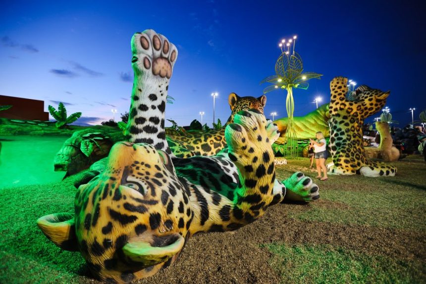 Gigantes da Floresta possui brinquedos para PcDs e cadeirantes
