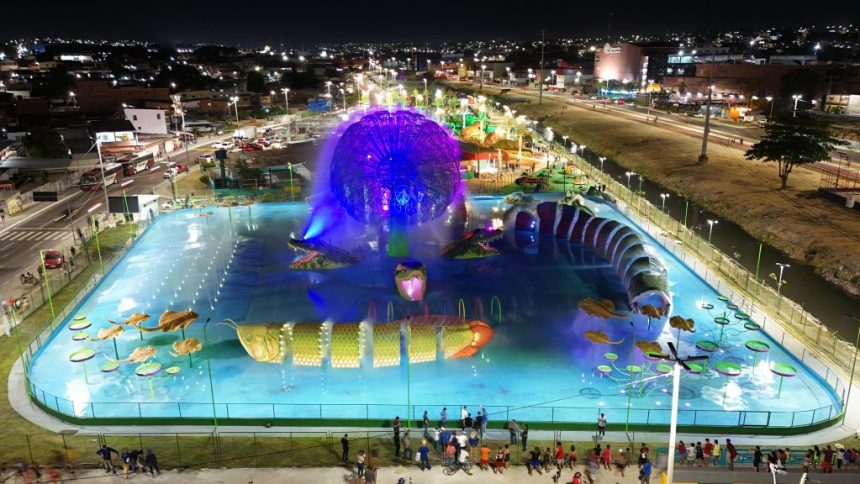 Últimos testes para a inauguração do parque Gigantes da Floresta