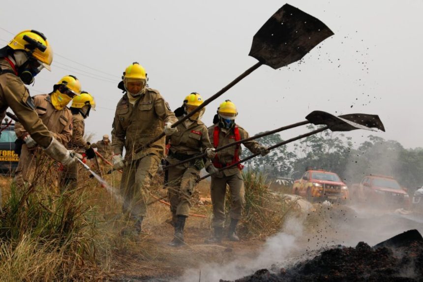 Operação Aceiro: Corpo de Bombeiros combateu 362 focos de incêndios em Humaitá e Apuí nos últimos sete dias