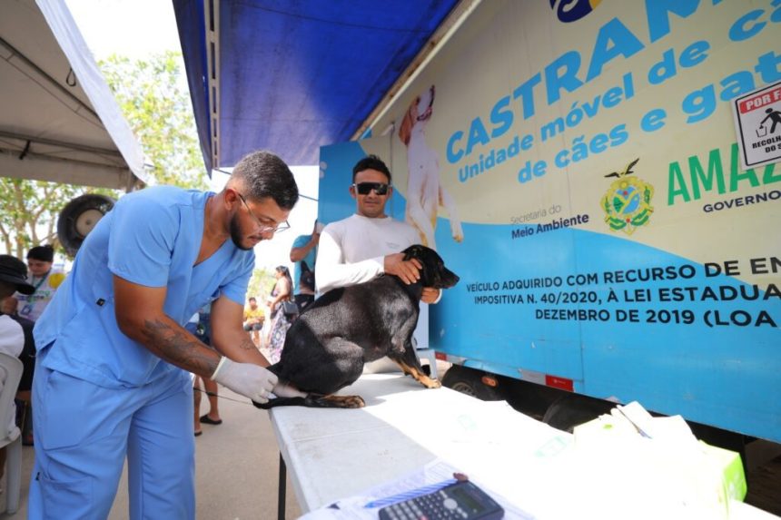 Governo Presente: Sema leva serviços de castração e vacinação para cães e gatos no bairro Grande Vitória