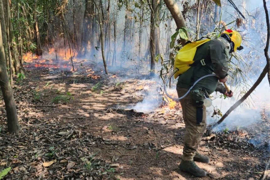 Unidades de Conservação do Baixo Rio Negro recebem ações de combate integrado a focos de incêndio